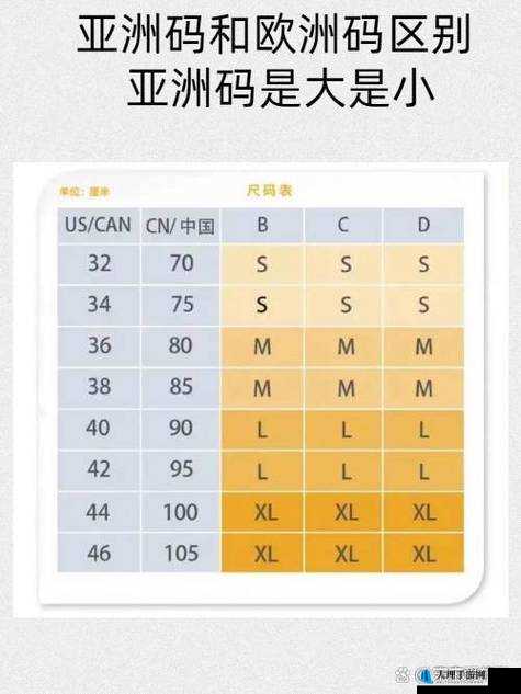 亚洲码与欧洲码区别一二三：深入剖析尺码差异的关键要素