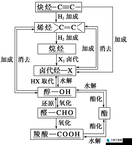 佳柔和医院长第 9 章概括大全：详细内容深度解读与分析